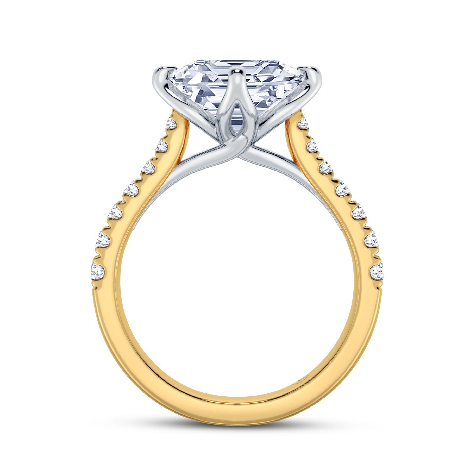 The Illuminate Collection - Princess Diamond Engagement Ring with Diamond Shoulders (East-West)