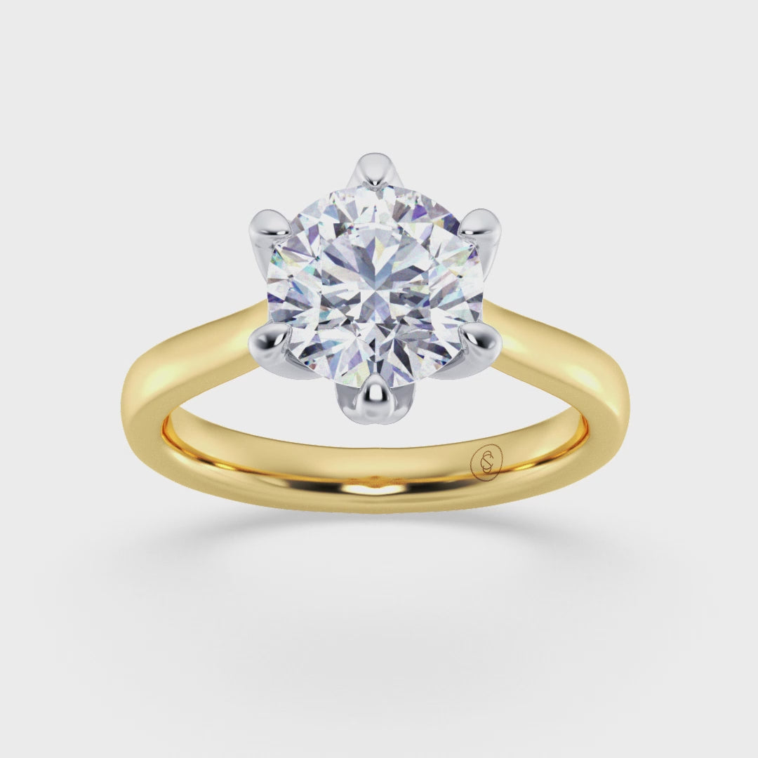 #metal-colour_yellow-gold-and-platinum-top-setting