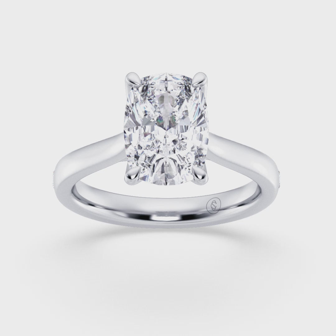 #metal-colour_platinum